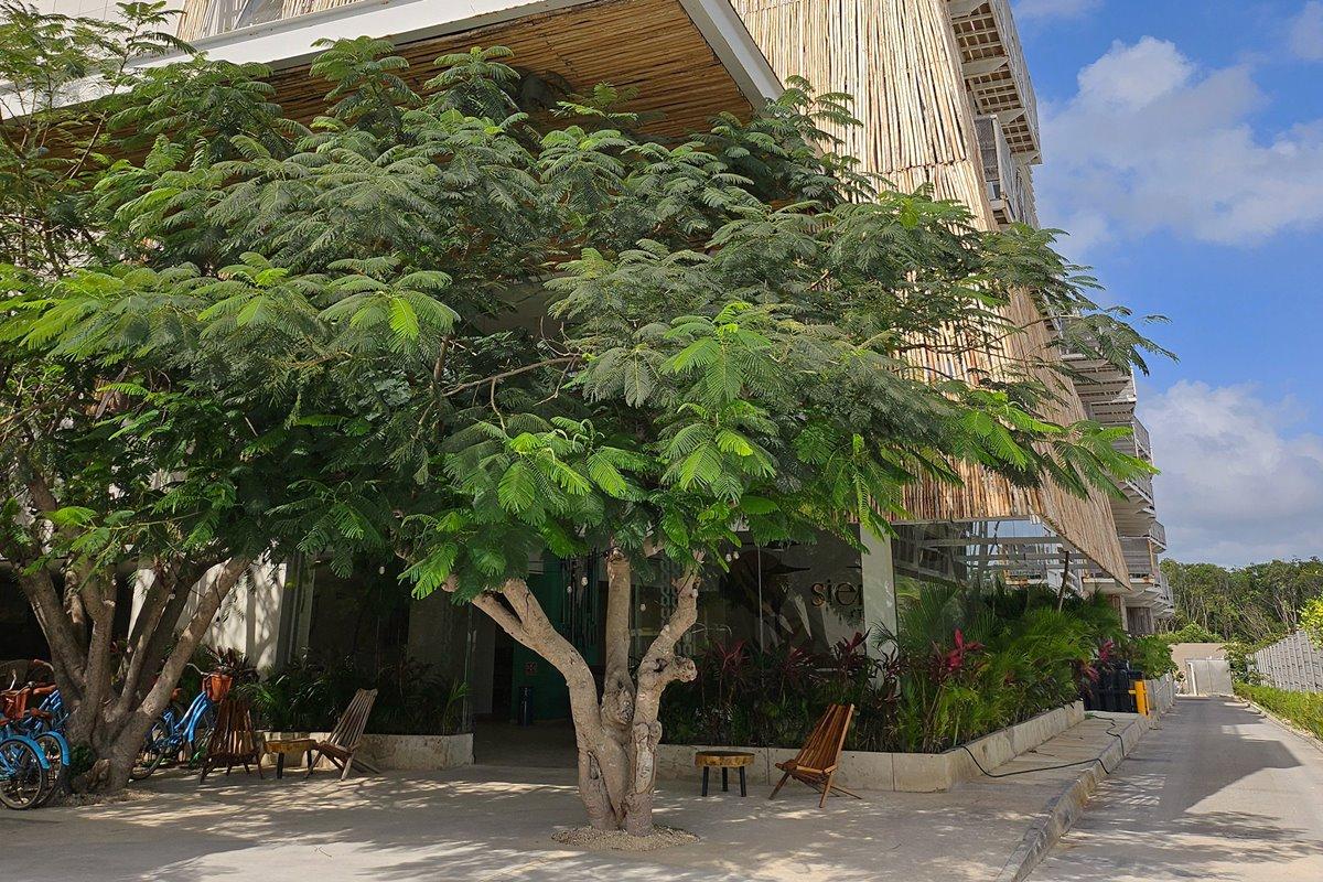 Siente Tulum Hotel Екстериор снимка
